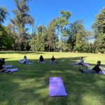 Mindfulness equipos