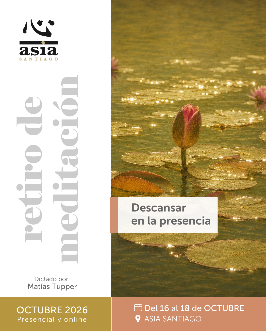 Afiche
